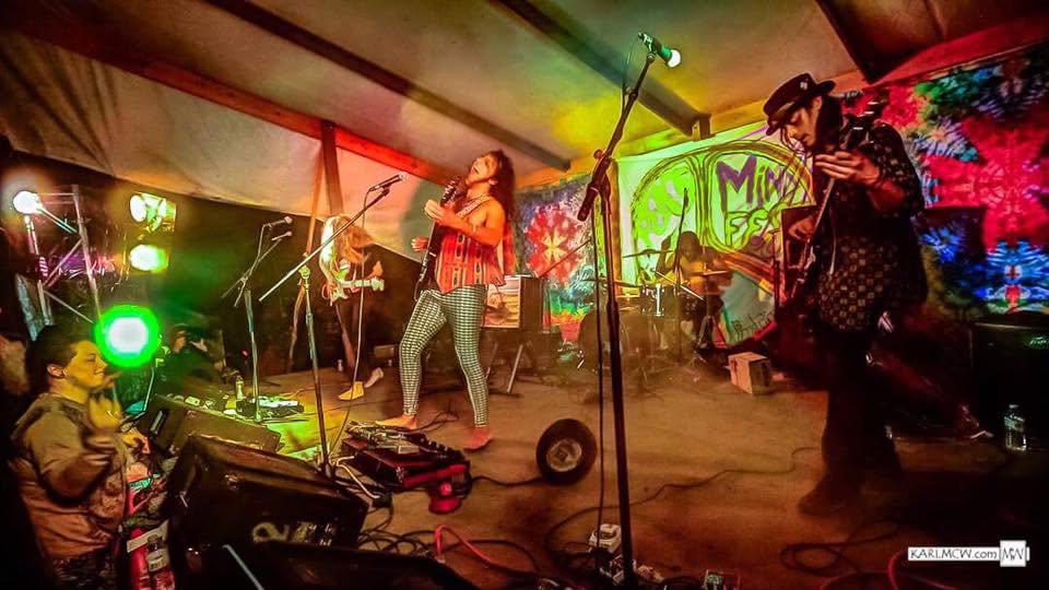 A band playing under colored stage lights at a Peace of Mind show